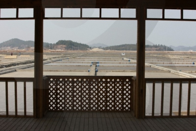 曾島鹽田體驗 