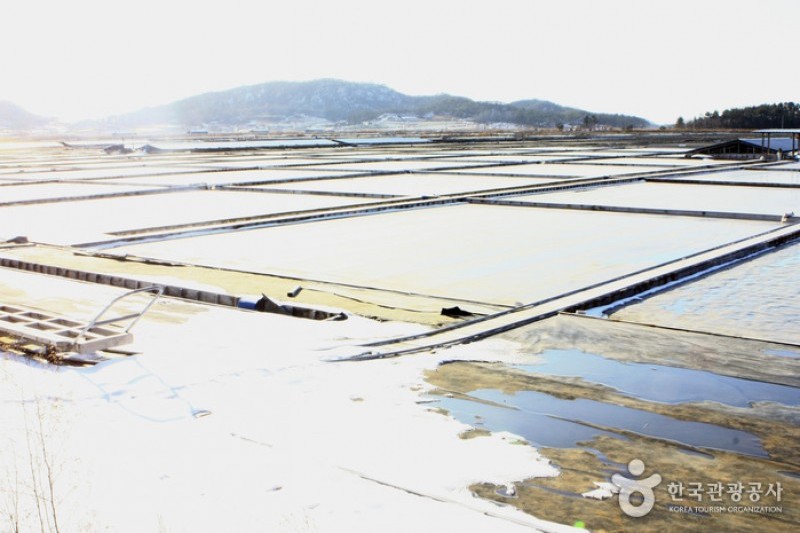 曾島[Slow City]