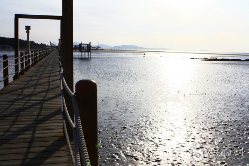 曾島[Slow City]