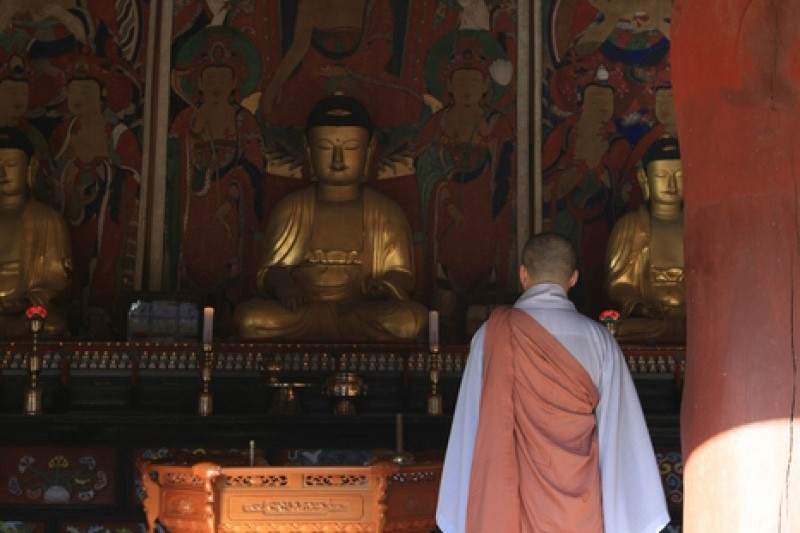 大興寺 (3/34)