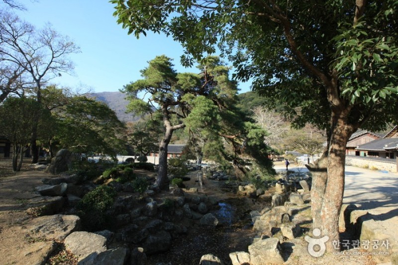 大興寺 (11/34)