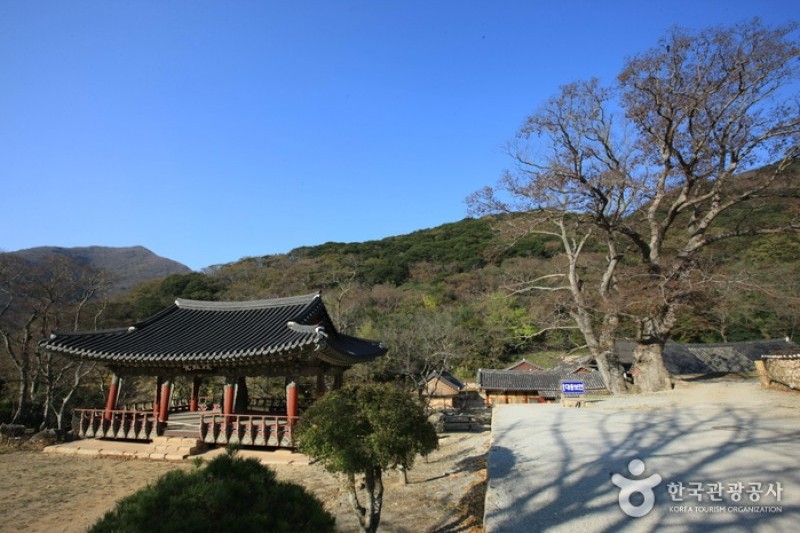 大興寺 (15/34)