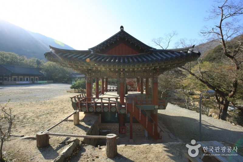 大興寺 (16/34)