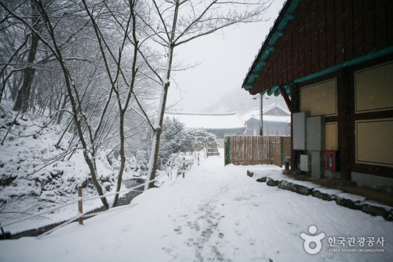 大興寺 (25/34)