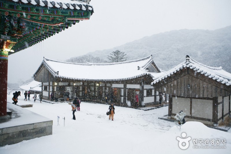 大興寺 (26/34)