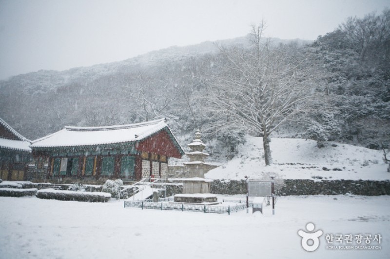 大興寺 (28/34)