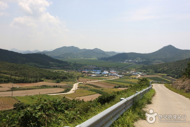 飛禽島 (1/8)