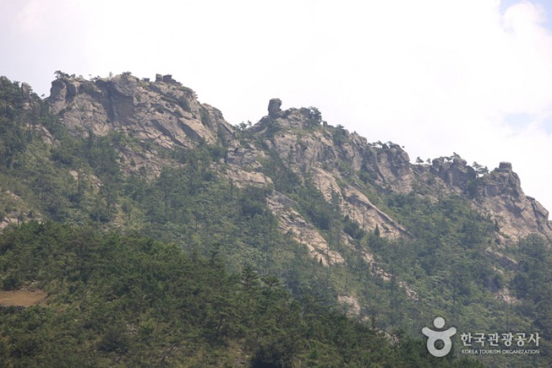 飛禽島 (2/8)