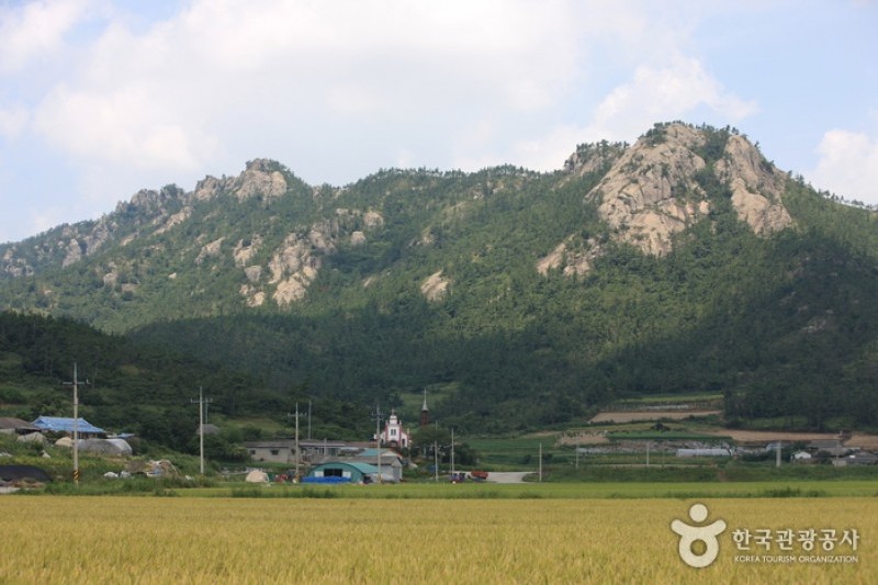 飛禽島 (3/8)