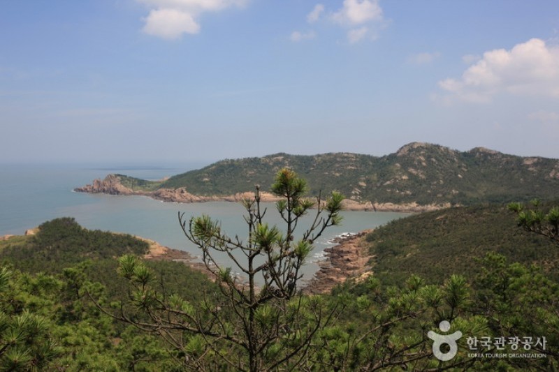 飛禽島 (8/8)