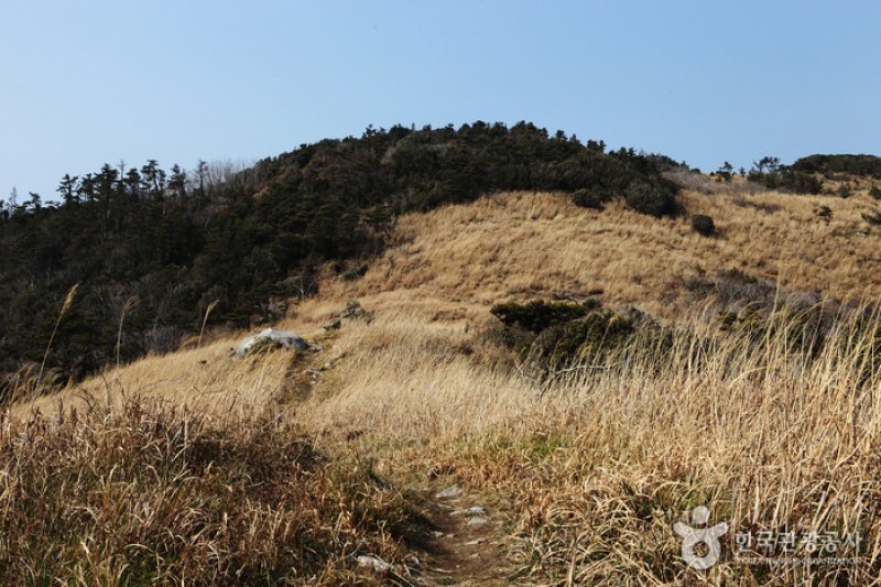 巨文島 (34/42)
