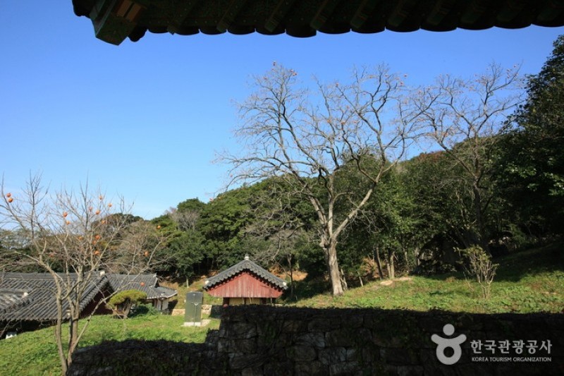美黃寺/兜率庵 (5/25)