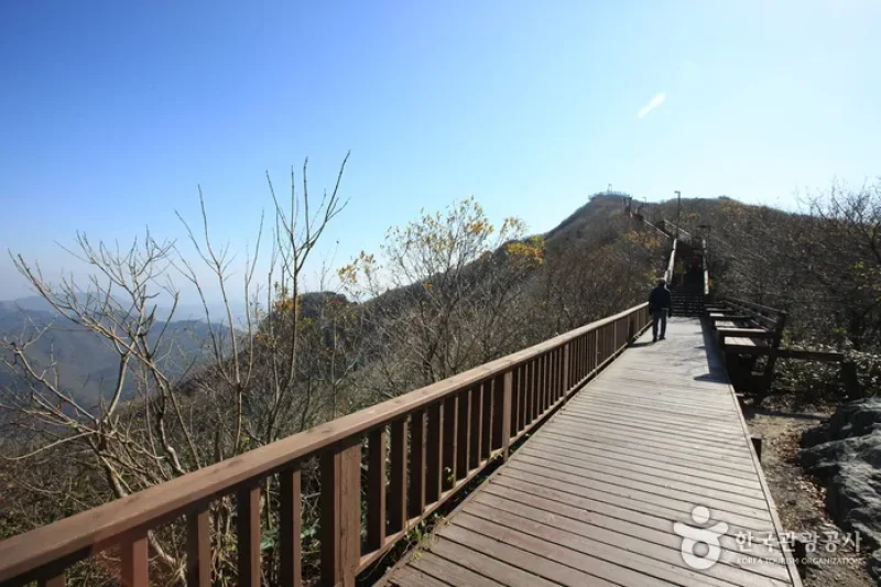 頭輪山纜車 (8/22)