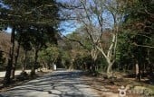 頭輪山道立公園 