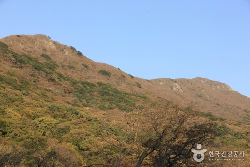 頭輪山道立公園  (44/52)