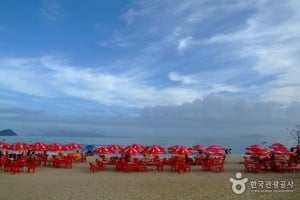 薪智鳴沙十里海水浴場