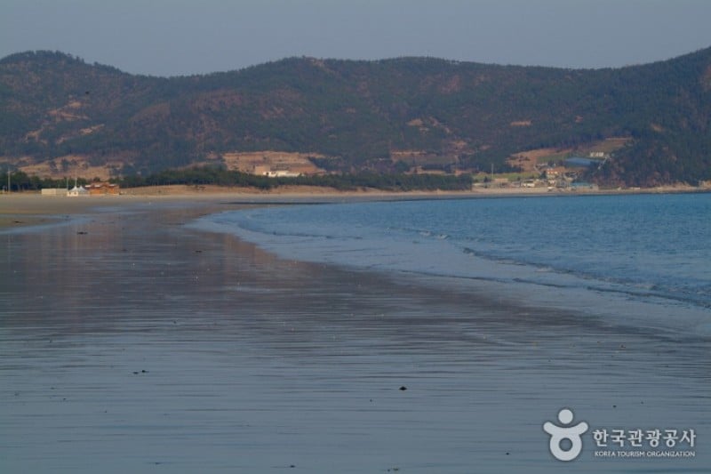 薪智鳴沙十里海水浴場 (2/26)