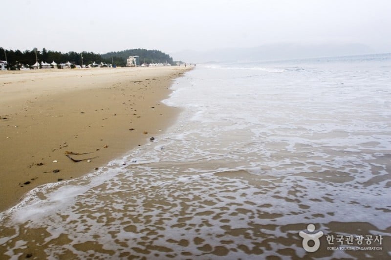 薪智鳴沙十里海水浴場 (14/26)