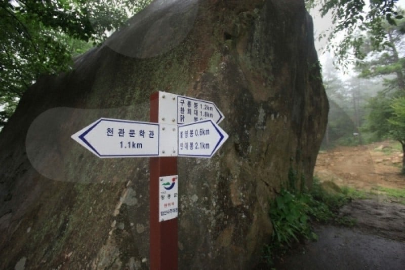 天冠山道立公園  (2/21)