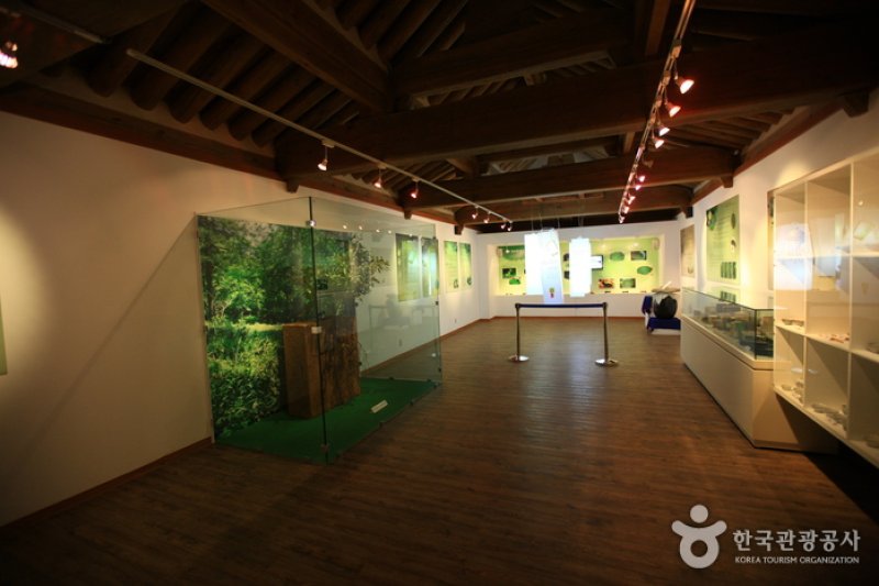 順天傳統野生茶體驗館 (8/11)