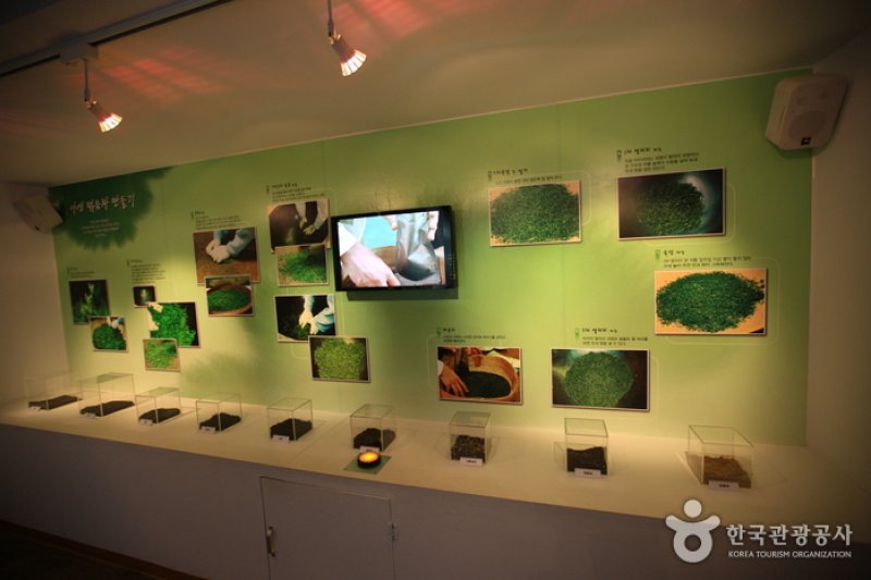 順天傳統野生茶體驗館 (9/11)