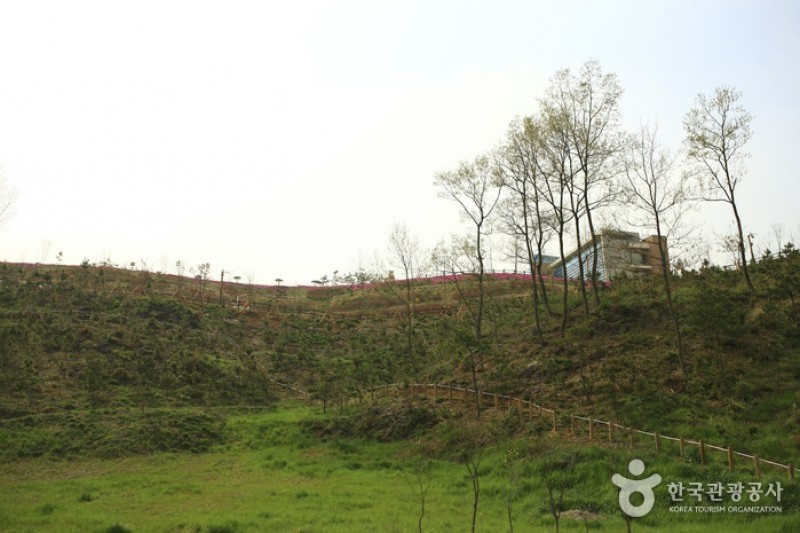 咸平EXPO公園