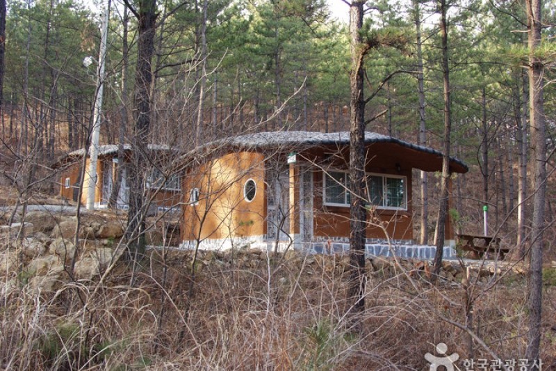 白雲山自然休養林  (7/7)