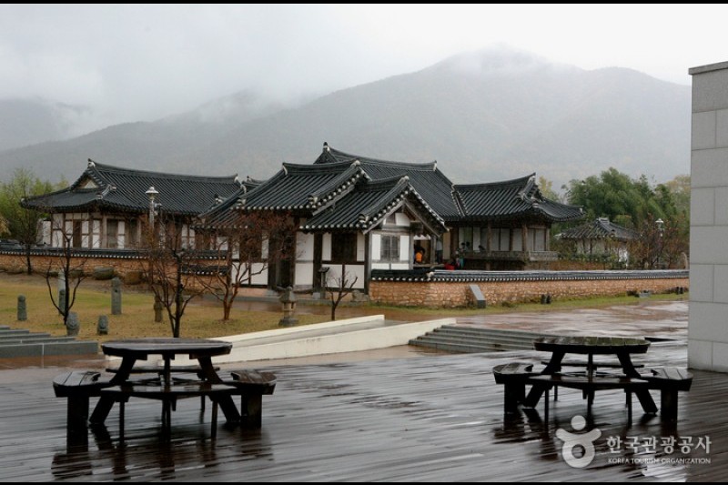 順天市立樹大根深博物館