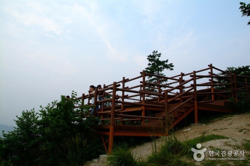 順天灣龍山觀景臺 (6/9)