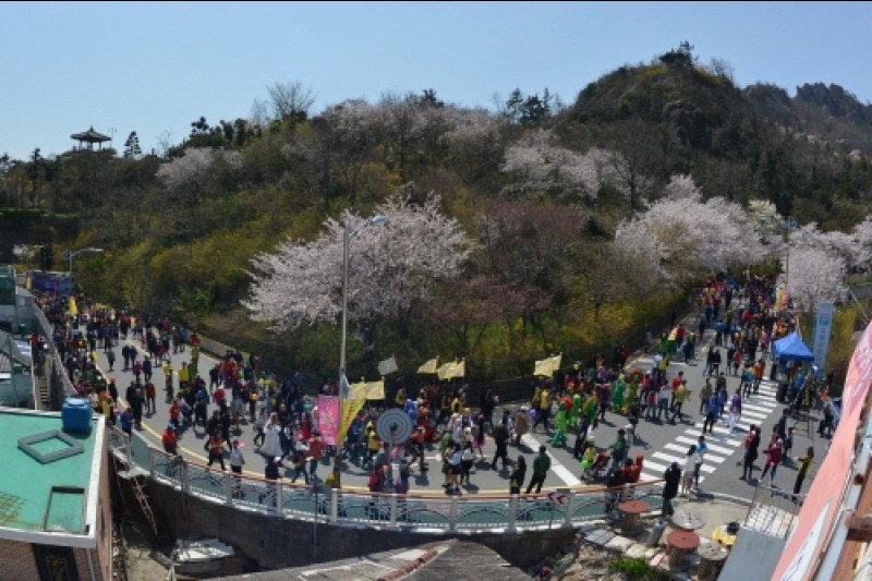 木浦儒達山花卉節