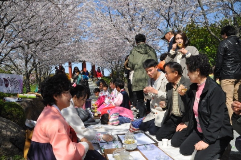 木浦儒達山花卉節
