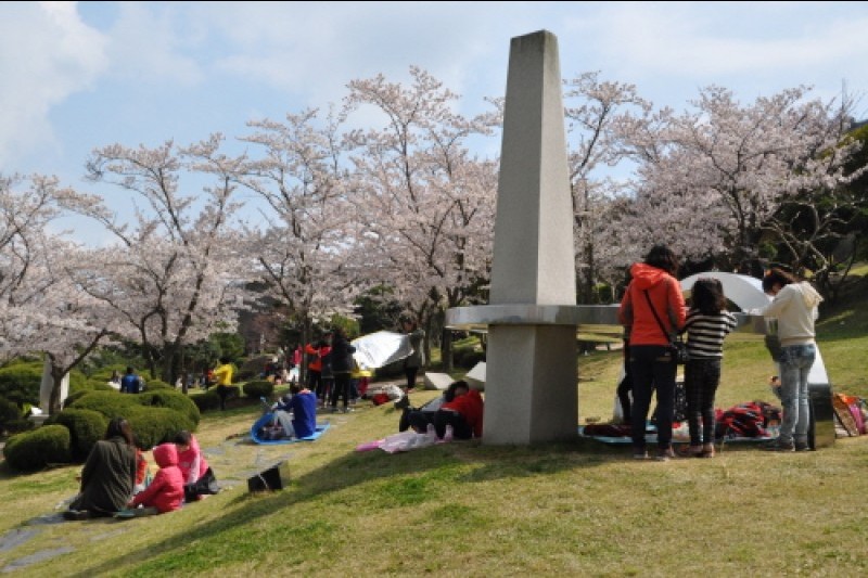 木浦儒達山花卉節