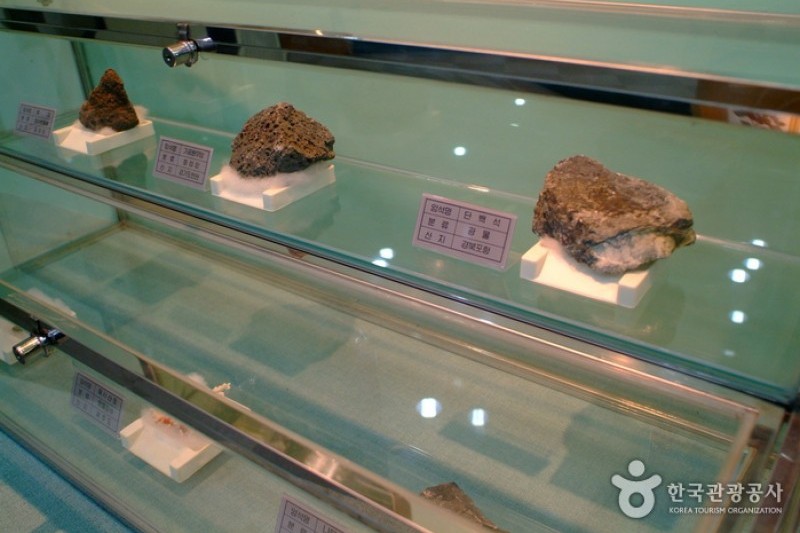 莞島樹木園 (6/13)