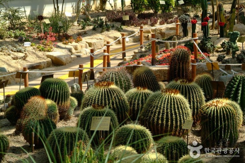 莞島樹木園 (10/13)