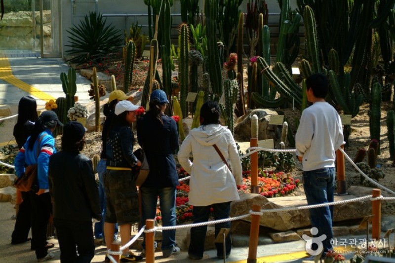 莞島樹木園 (12/13)