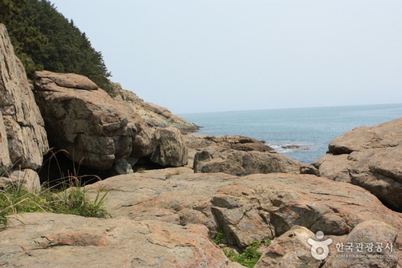 青山島慢活健行節
