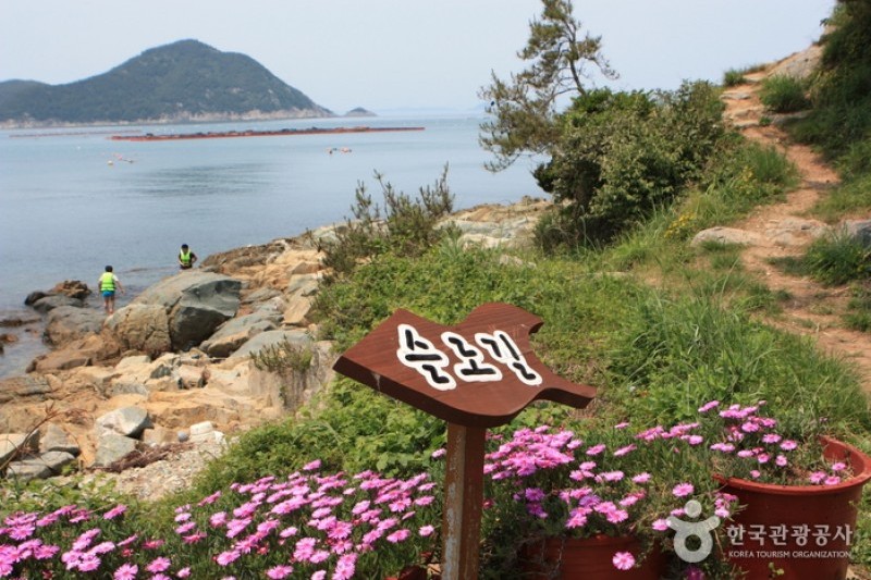青山島慢活健行節