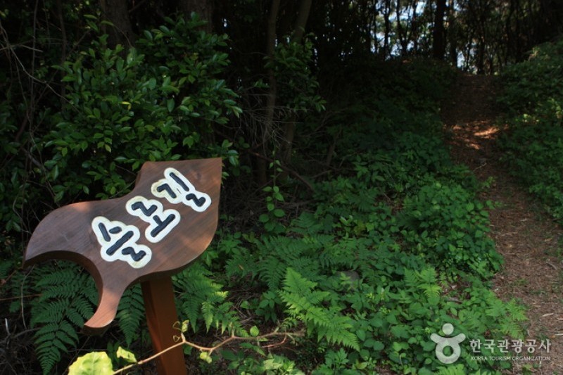 青山島慢活健行節