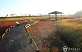 太平鹽生植物園