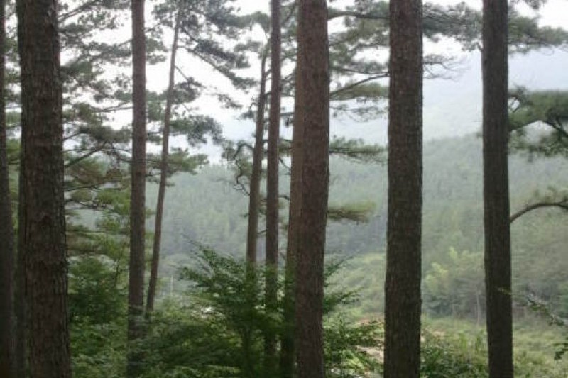 白雲山 (5/10)