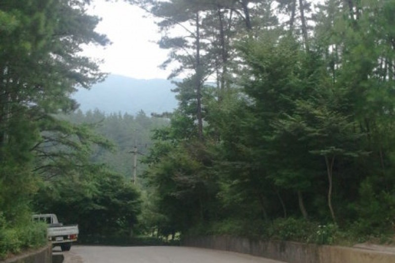 白雲山 (8/10)