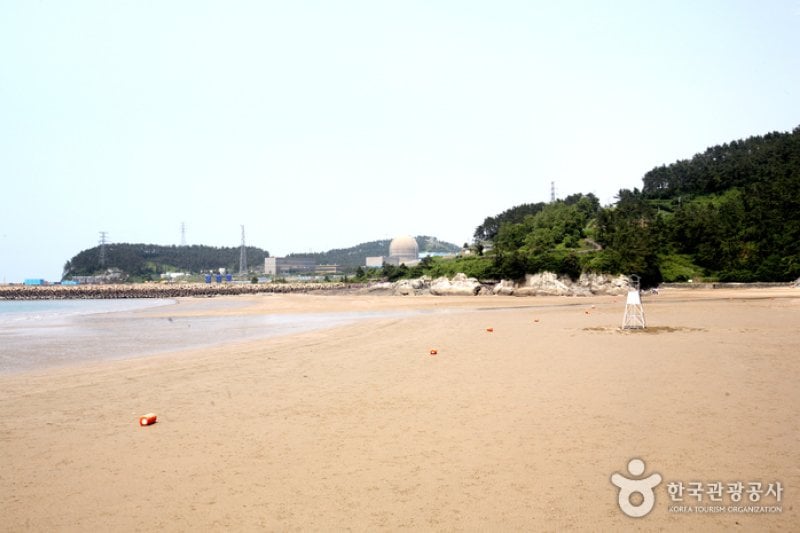 Gamami海水浴場 (8/20)