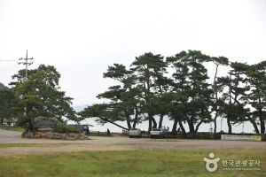 羅老宇宙海水浴場