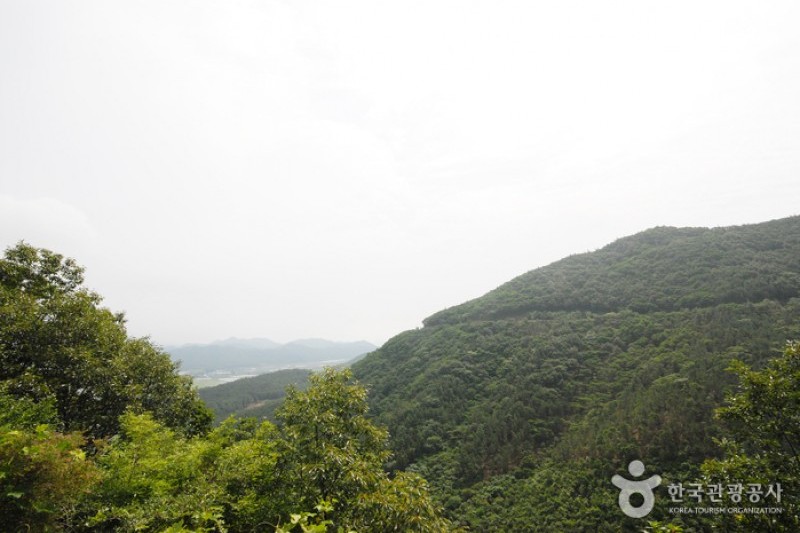 天冠山自然休養林 (2/20)