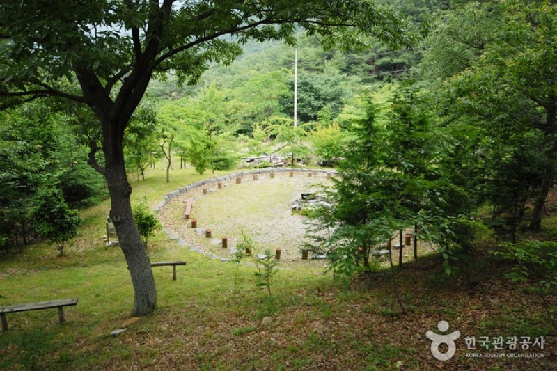 天冠山自然休養林 (8/20)