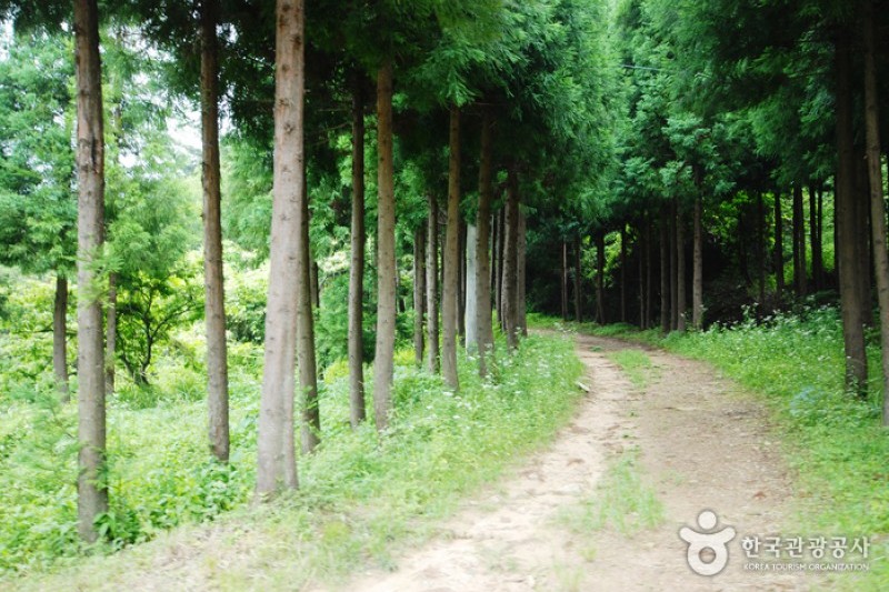 天冠山自然休養林 (20/20)