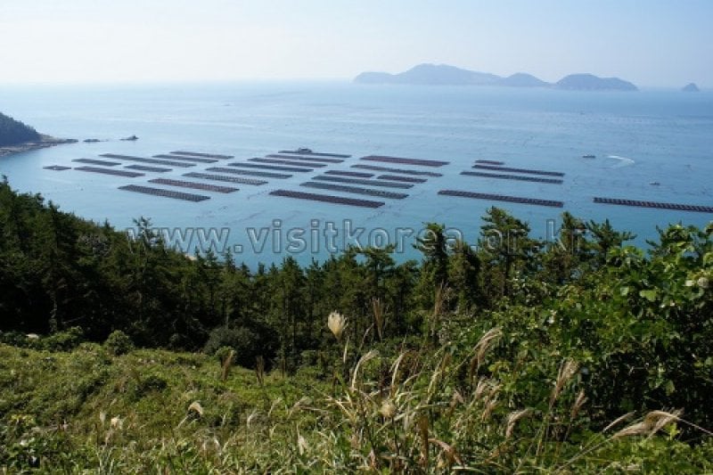 所安島 (1/18)