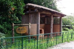 麗水船所遺跡