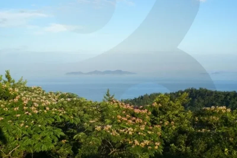 鞍馬島 (10/15)
