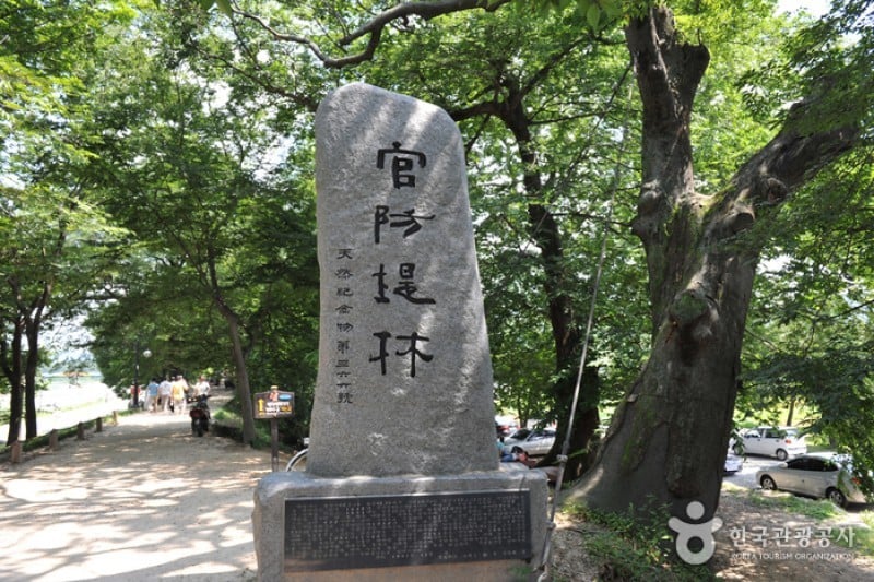 官防堤林 (10/10)